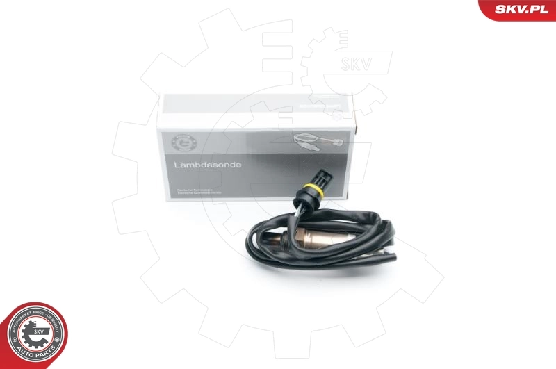 Oxygen Sensor